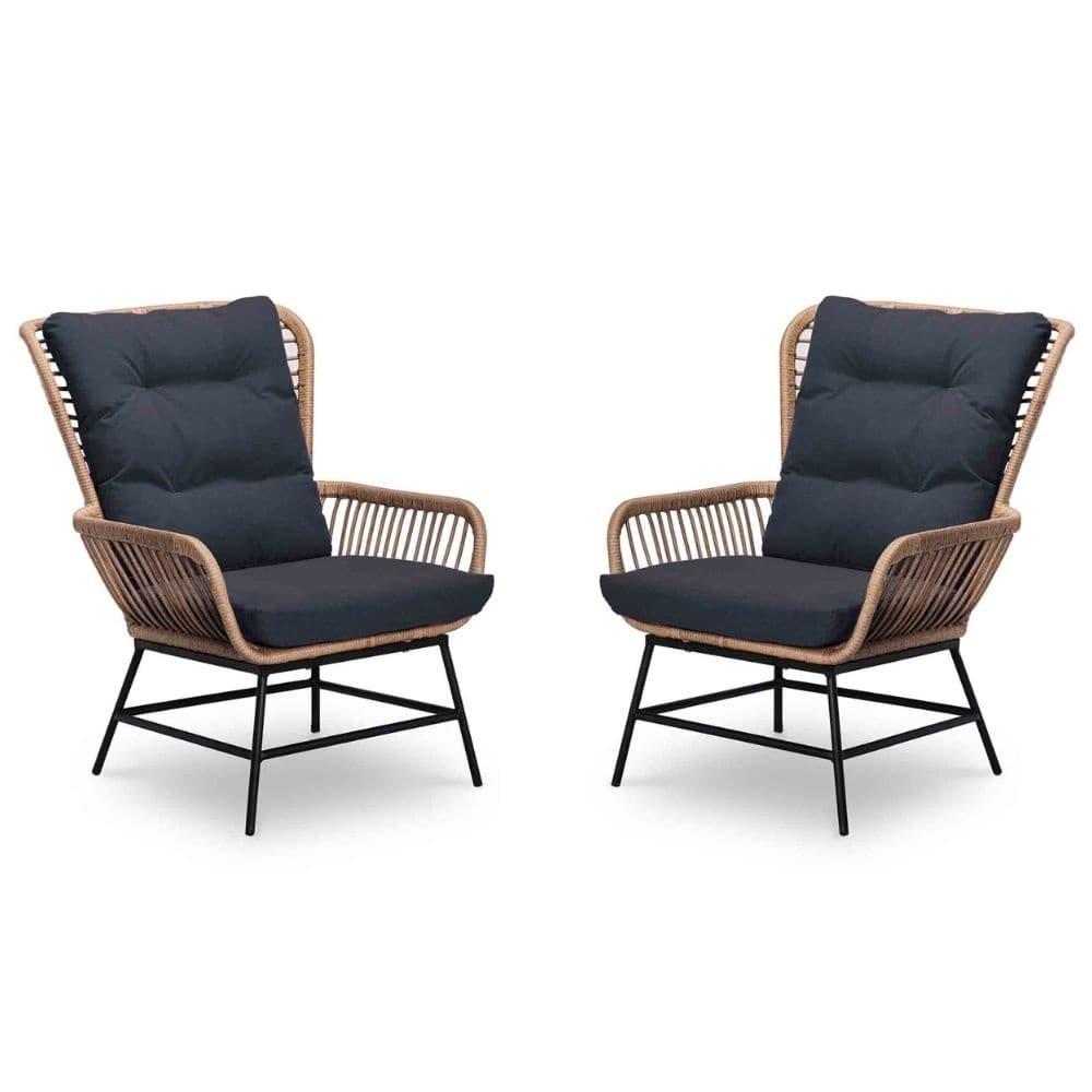 Dex loungestoel tuin set van 2 | wicker + aluminium | Bamboo antraciet